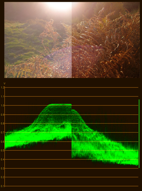The top image shows raw (left half) and edited footage (right half). The graph is the YC scope, showing luminance only. The right half of the footage looks better, but by checking the graph, we see that the lunanance range is also technically better (no clipping off the scale, uses more of the available range, etc).